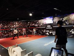 -VS SPORTS PARK运动玩乐园·团建·生日会(合生汇店)