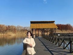 -溱湖国家湿地公园