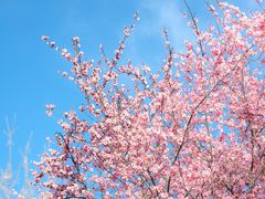 -白塘生态植物园