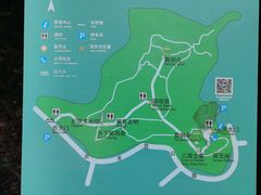 -上海佘山国家森林公园天马山园