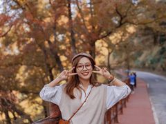 -广州市石门国家森林公园