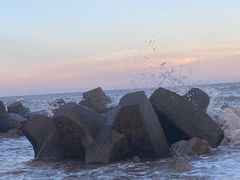 -南汇嘴观海公园