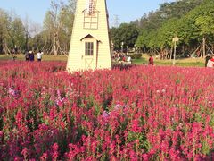 -顺峰山公园