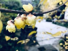 -成都杜甫草堂博物馆