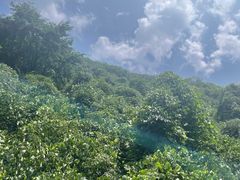 -西安祥峪森林公园