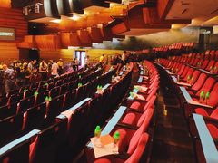 -顺德演艺中心大剧院