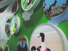 -甘肃国际会展中心