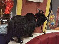 -敏珠拉姆藏餐·南京厨房(富春江东街店)