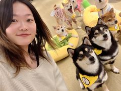 -逗柴咖啡屋·狗咖猫咖宠物桌游