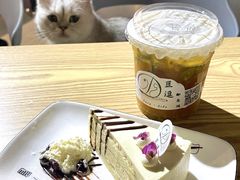 -豆逗聊愈猫阁Easy Life