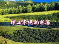 -百里天路