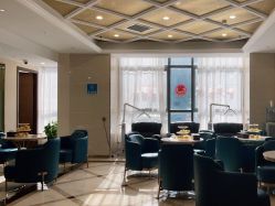 -碧莲盛·不剃发植发