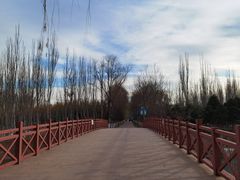 -大兴滨河森林公园