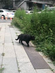 -Hair Co.一间沙龙