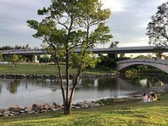 -宝安西湾红树林湿地公园