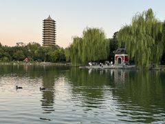 -北大家园食堂