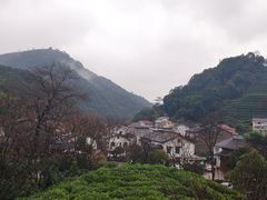 -龙井村