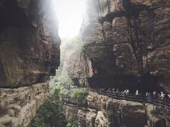 -云台山风景名胜区