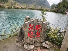 -靖西鹅泉风景区