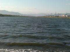 有点湖边的感觉-永定河休闲森林公园