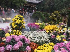 -汇龙潭