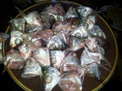 20131011_194405-章记正宗南岗鱼蛋火锅