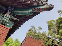 -洛阳白马寺