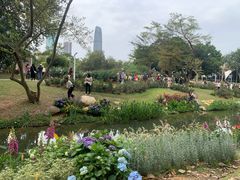 -人民公园(罗湖区)