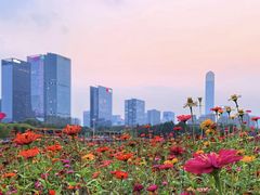 -白塘生态植物园