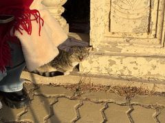 -大连圣亚海洋世界