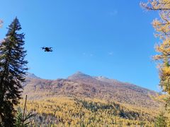 -新疆风味冷水鱼庄(友谊峰路店)