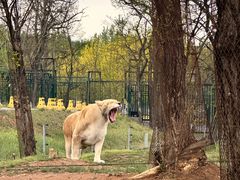 -秦皇岛野生动物园