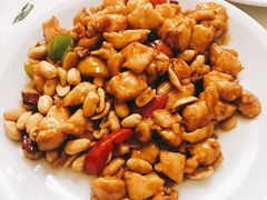 宫保鸡丁-天府乐园