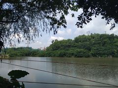 -火炉山森林公园