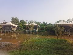 -美的鹭湖森林度假区