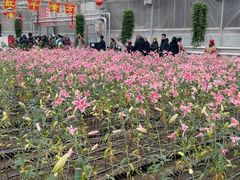 -长春农业博览园