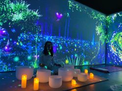 -虹桥迎宾馆·宴会厅