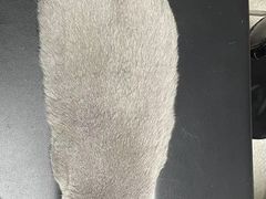 -谐和贝康宠物医院24小时·宠保定点(急重症转诊中心)