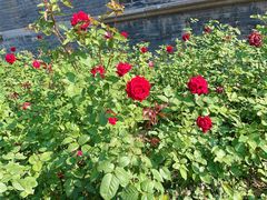 -张学良旧居陈列馆