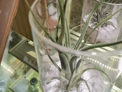 -XI·LaundryCafe 喜咖自助洗衣咖啡店