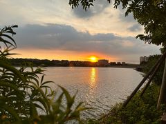 -水濂山森林公园