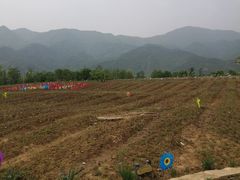 -紫云台香草园
