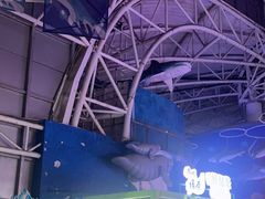 -烟台海昌鲸鲨海洋公园