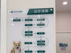 -瑞派康怡24h宠物医院·犬猫医疗中心·微创绝育(瑞景分院)
