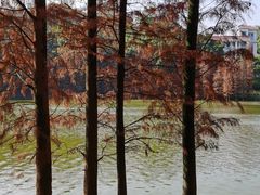 -三水森林公园