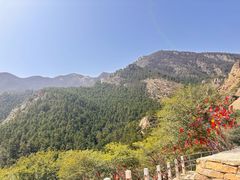 -国强手抓(西夏区店)