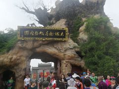 -大槐树寻根祭祖园
