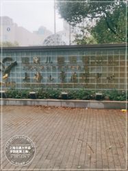 点击看大图 -上海交通大学医学院附属上海儿童医学中心(陆家嘴总院区)