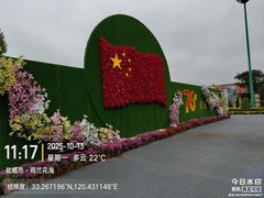 -荷兰花海