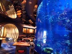 -迪拜帆船酒店海底餐厅